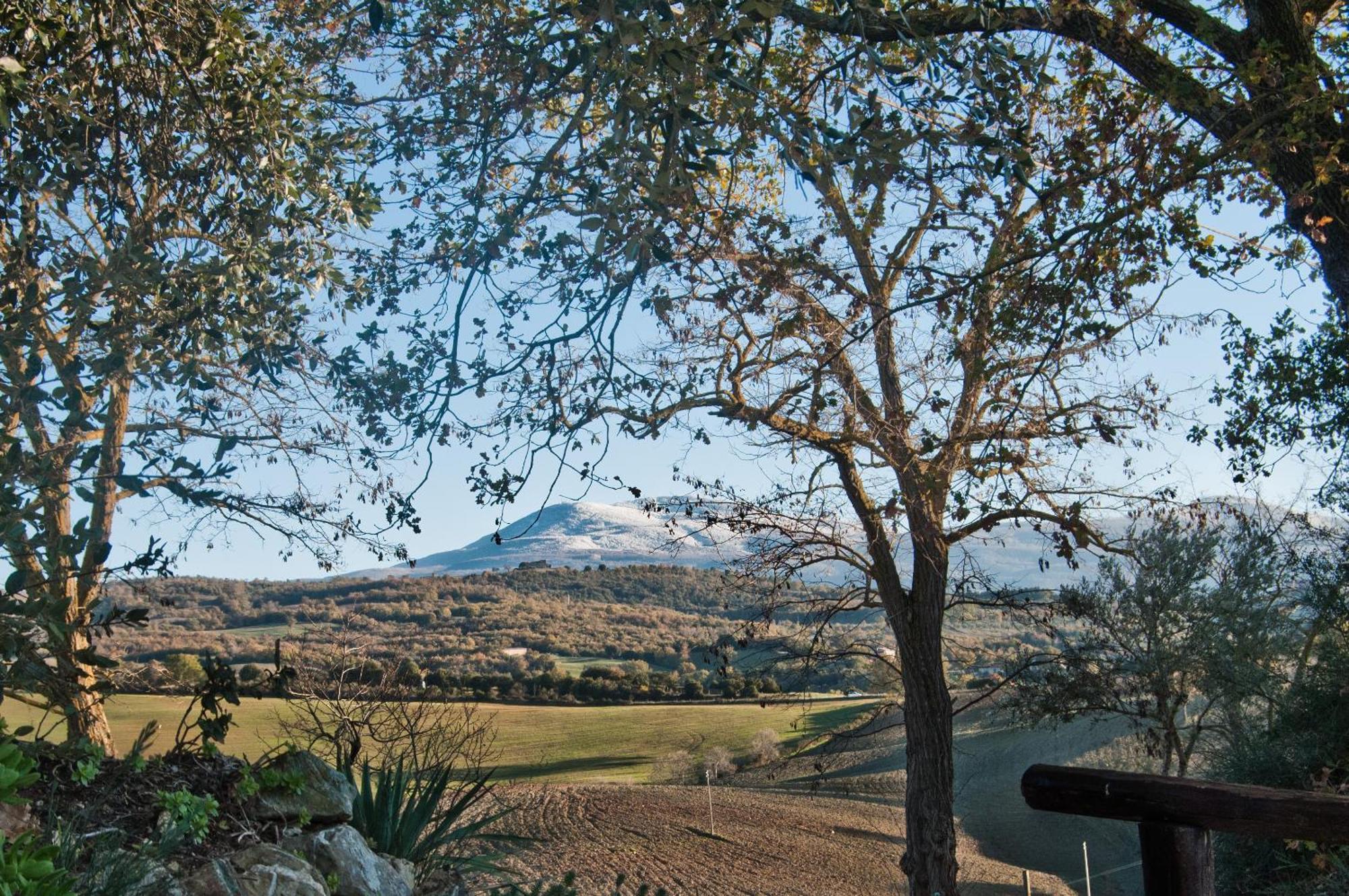 Agriturismo Grossola Castiglione d'Orcia Exterior photo